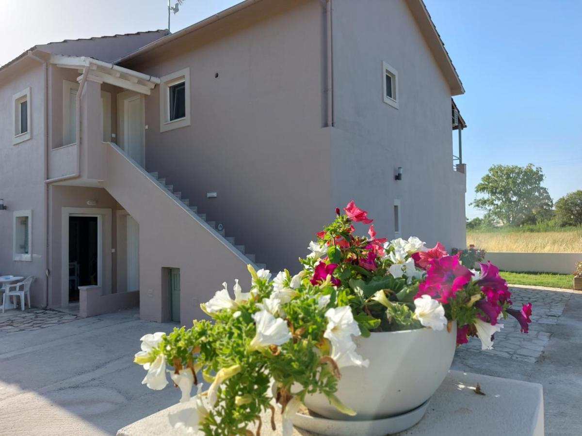 Evelina Luxury Suites In Corfu Ypsos Eksteriør billede