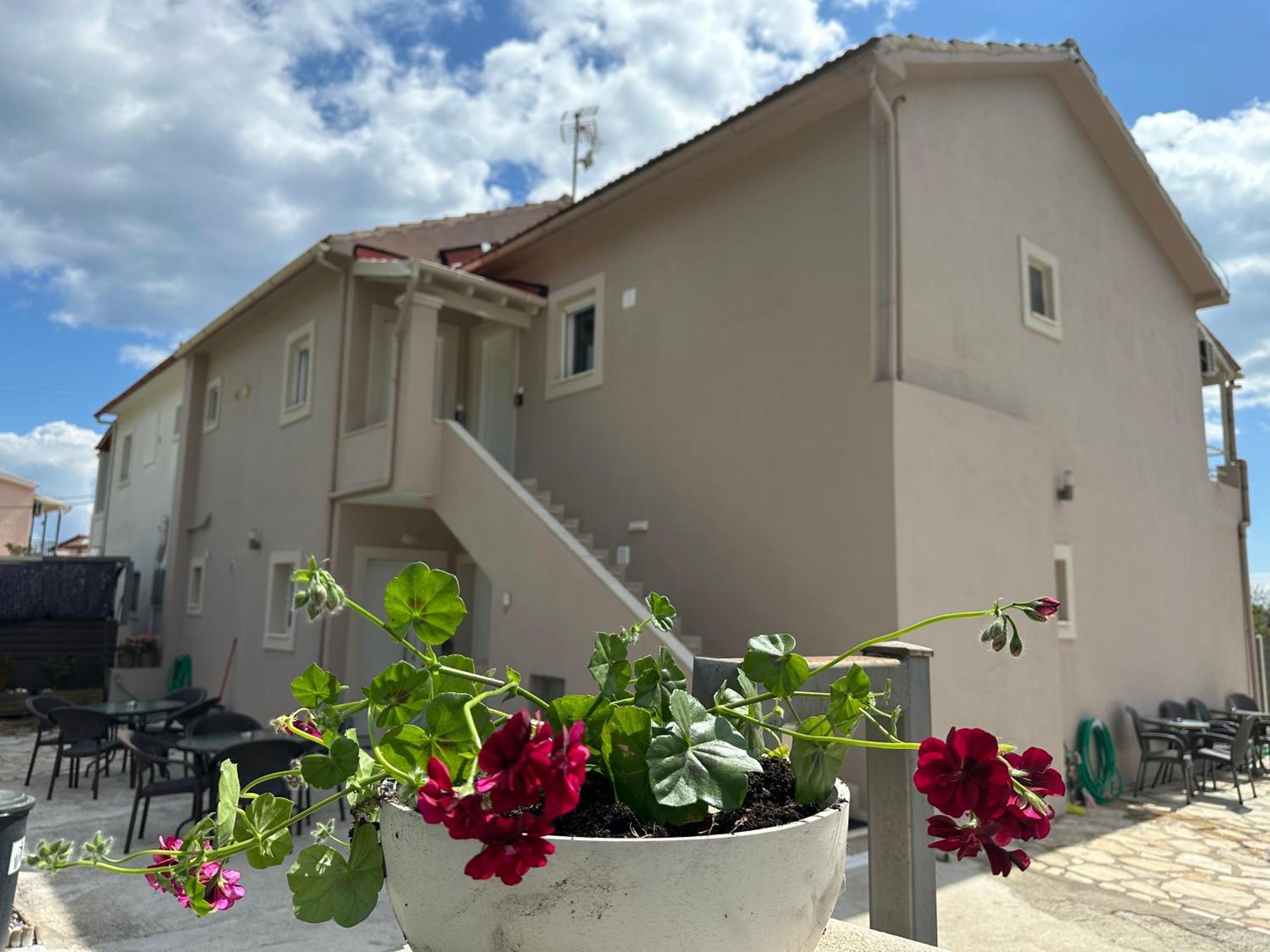 Evelina Luxury Suites In Corfu Ypsos Eksteriør billede